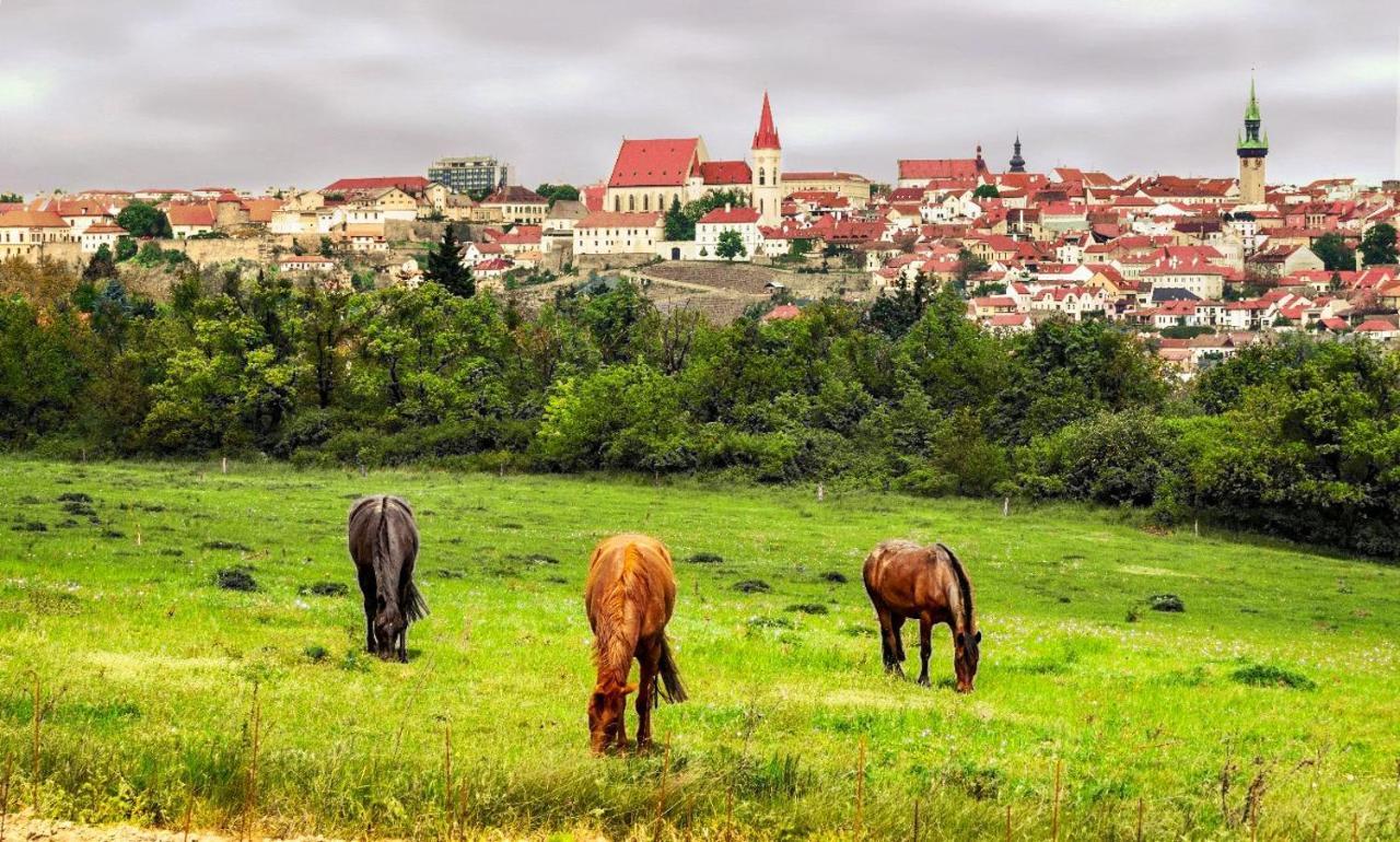 Vas Sklep - Vinny Sklep A Penzion Znojmo Exterior photo