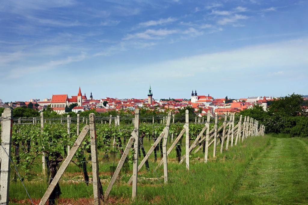 Vas Sklep - Vinny Sklep A Penzion Znojmo Exterior photo